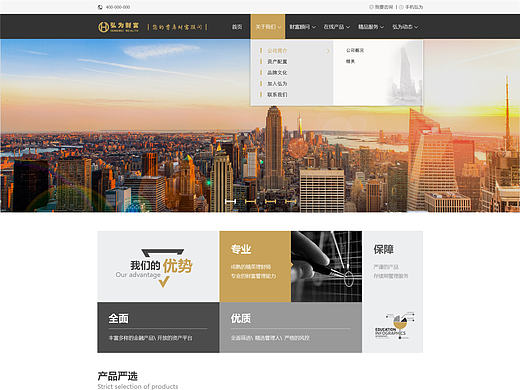 金融公司网站