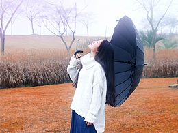 冬日暖雨