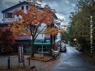 日本随拍