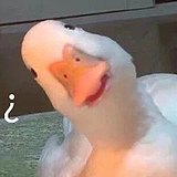 一个学习账号的头像