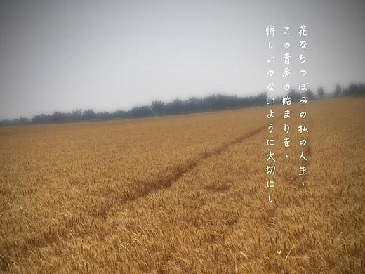 随拍