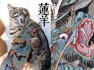 摩羯与小寒