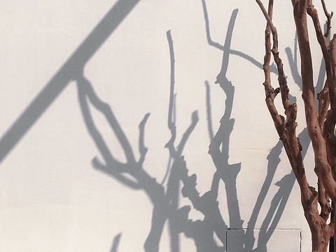 光影（个人主页-ZNTAzMTExODg=） - 风光摄影 - 站酷设计师了一琳子原创素材 - 站酷ZCOOL