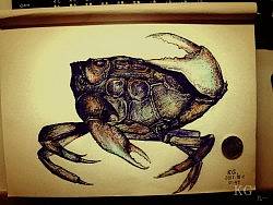 临摹的螃蟹