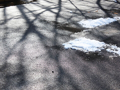 【Snow street】