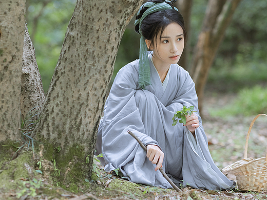 王宝钏挖野菜
