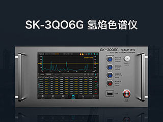 SK-3Q06G氢焰色谱仪