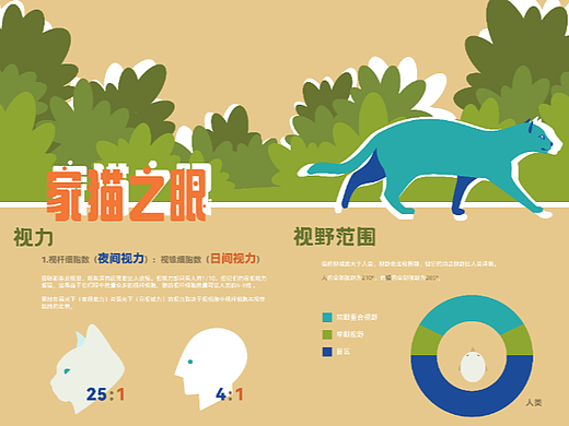 信息可视化海报 不同生物的“视”界