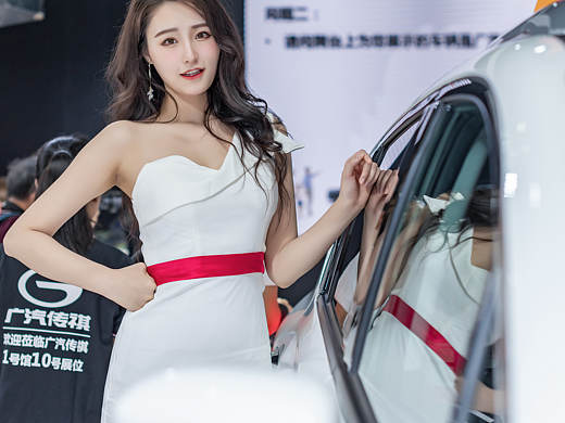 车模