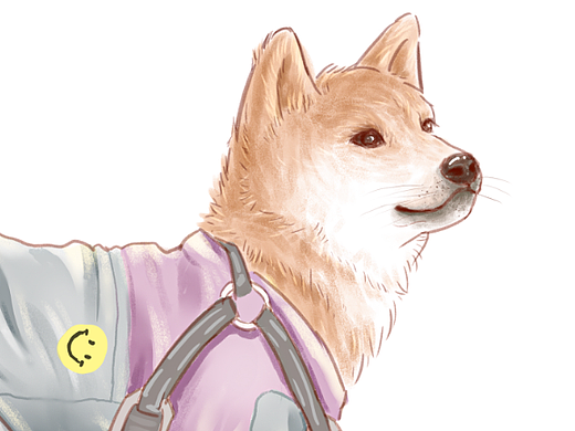 姐妹家的柴犬画像（个人主页-ZNjQyNTUyNzI=） - 艺术插画 - 站酷设计师柚子丫y原创素材 - 站酷ZCOOL