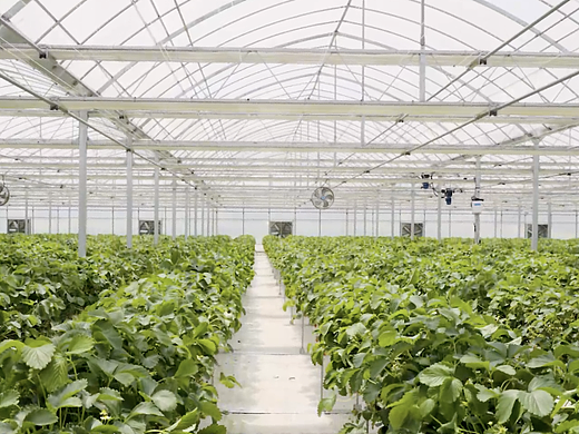 创业者需求大挑战之军工篇（个人主页-ZNjgwODA3MjA=） - 短片 - 站酷设计师Z768383148原创素材 - 站酷ZCOOL