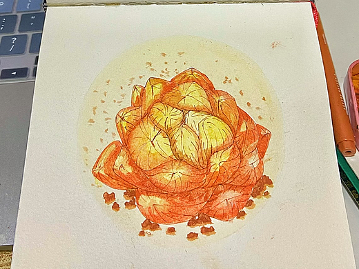 多肉 肉多多的（个人主页-ZNjc1MjI5MjQ=） - 创作习作 - 站酷设计师孙77原创素材 - 站酷ZCOOL