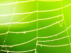 一直被遗忘的角落