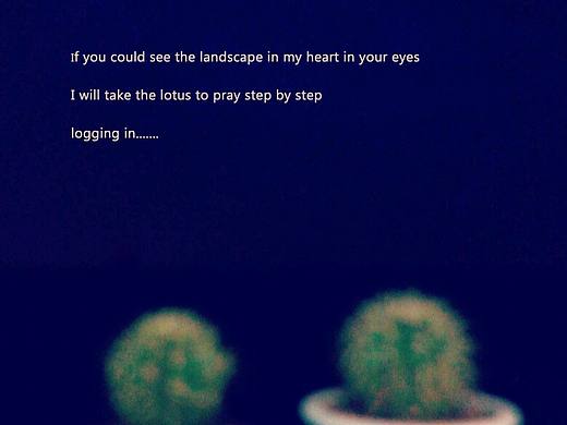 夜蓝夜蓝仙人球（个人主页-ZMTgzMjEyODg=） - 风光摄影 - 站酷设计师林婧海原创素材 - 站酷ZCOOL