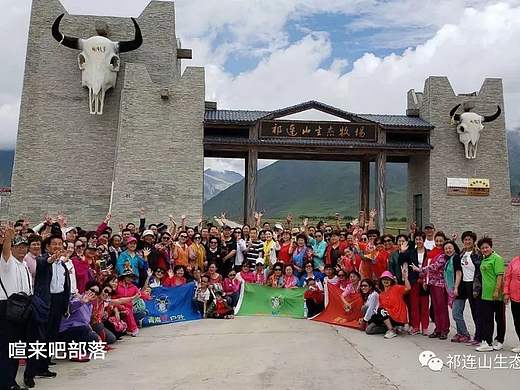 夏日的门源县生态牧场