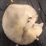 AJING_VAN的头像
