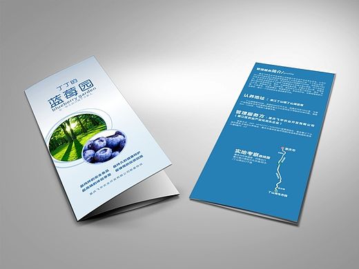 丁丁的蓝莓园--三折页（个人主页-ZMTIzMjY2MTI=） - 宣传物料 - 站酷设计师小肥羊一只原创素材 - 站酷ZCOOL