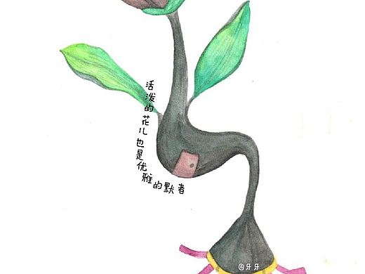 “时光花”系列