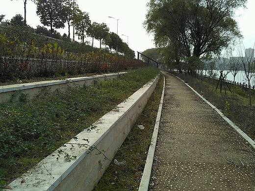 喜欢大自然的点点滴滴