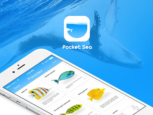 Pocket Sea／海洋生物图鉴App 