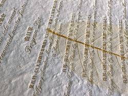 福禄寿禧来设计机构 — 花叶故事手工纸 — 叶脉传说