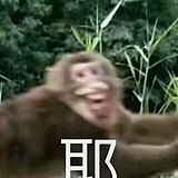 李知了了了的头像