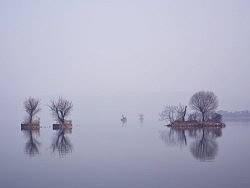 烟波不动影沉沉