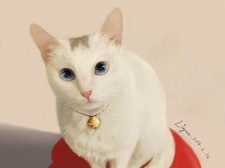 我们家的猫
