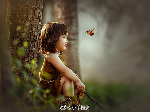 丛林之旅