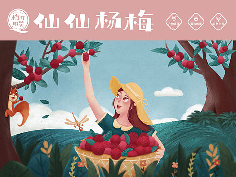 杨梅包装