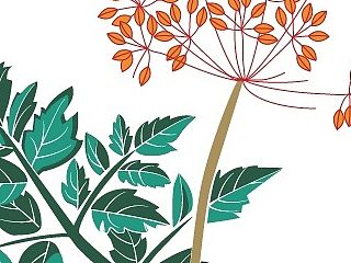 中医药行业设计素材