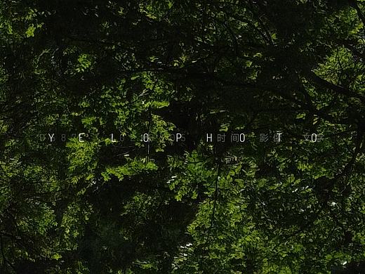 春天走了，夏天到了 / D587