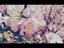 生活中的片段.Ⅰ