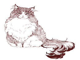 猫猫