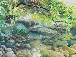 水彩