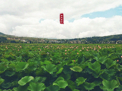 一些风景照片——业余水平