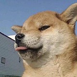 MrDeF的头像