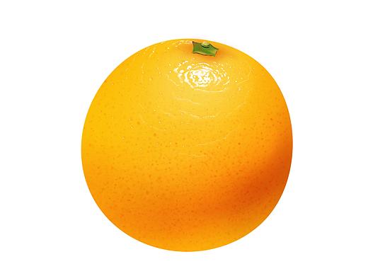 临摹作业之写实