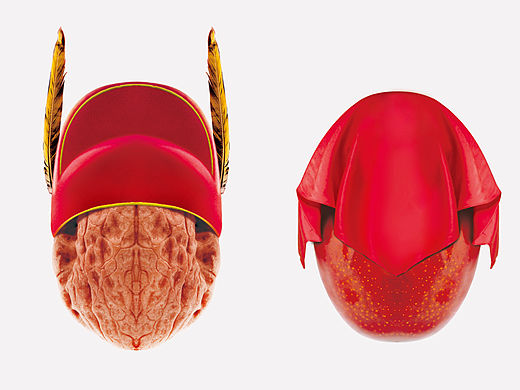 早嫁何涛（西安高鹏设计）