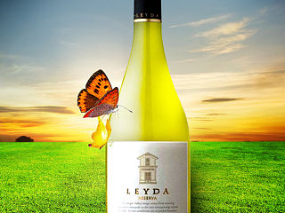 今天設(shè)計(jì)了品閏酒業(yè)智利萊達(dá)一款紅酒的詳情圖設(shè)計(jì)，與大家分享一下！（個(gè)人主頁-ZNDE2OTUyOA==） - 電商 - 站酷設(shè)計(jì)師無憂視覺原創(chuàng)素材 - 站酷ZCOOL