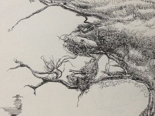 兴趣。。。。。