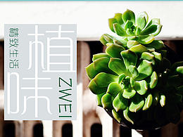 一款關于植物的GUI