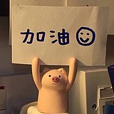 Yeno念念的头像