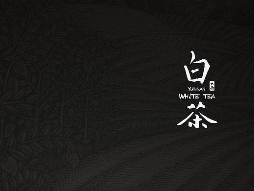 云南白茶包装设计
