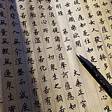 小蜗Valn的头像