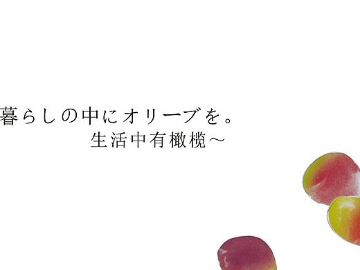 产品手册