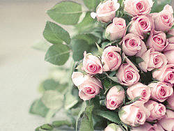 wo（个人主页-ZMTcxMTgxMg==） - 创作习作 - 站酷设计师云谦原创素材 - 站酷ZCOOL