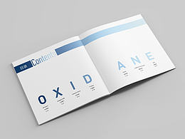 做的第一個宣傳畫冊