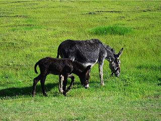 天地间的色彩感