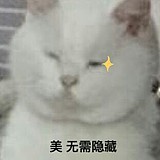 夏末XIA的头像
